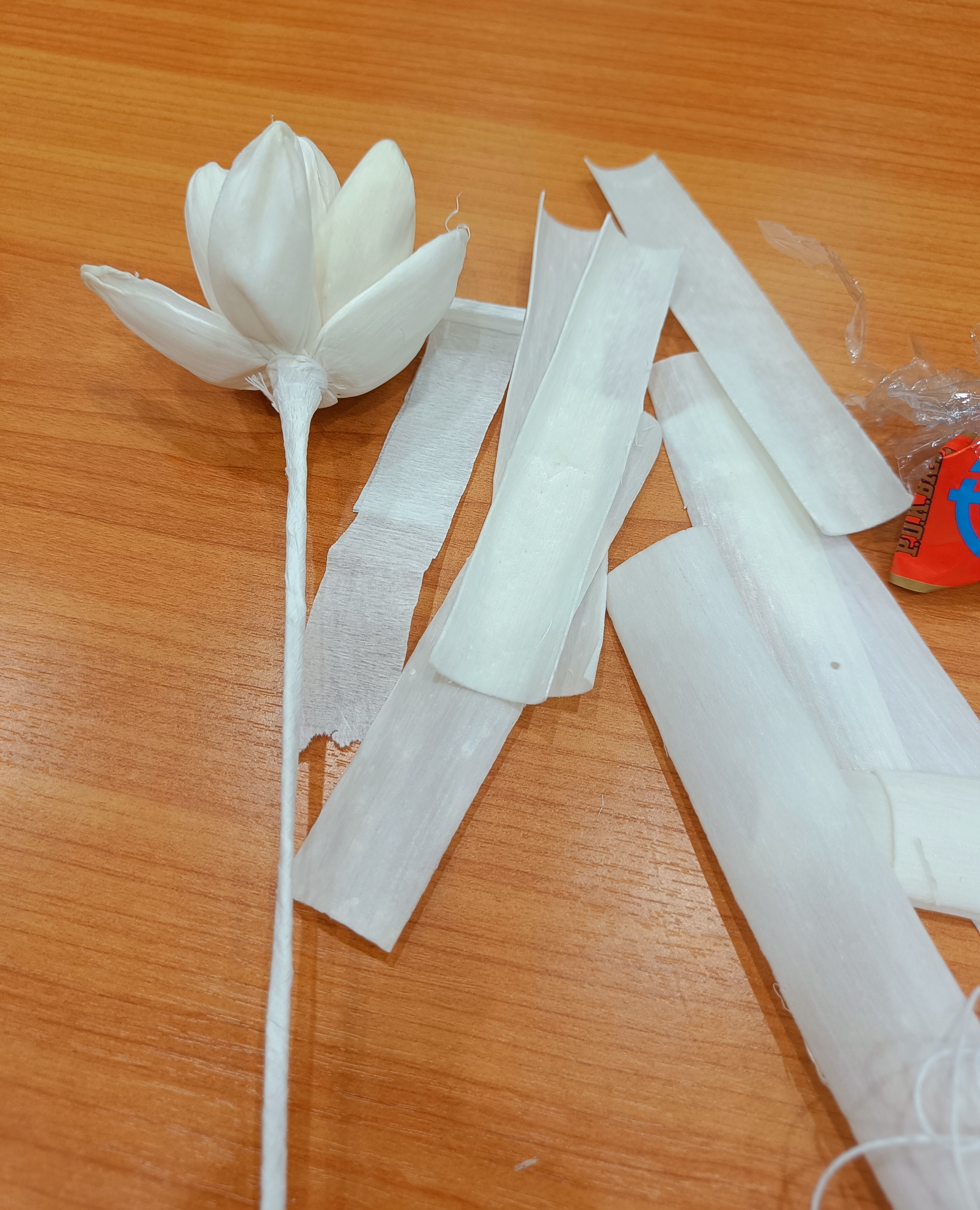 title - ผอ. กพร. ส.ป.ก. นำทีม พร้อมด้วยเจ้าหน้าที่ เข้าร่วมกิจกรรมจิตอาสาบำเพ็ญสาธารณประโยชน์